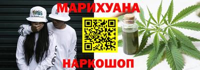 крисы Камышлов