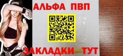 крисы Камышлов