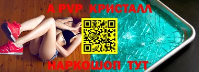 крисы Камышлов