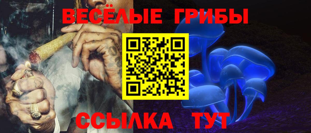 Псилоцибиновые грибы Psilocybe  Псилоцибиновые грибы GOLDEN TEACHER  Вход с VPN  где можно купить наркотик  Красноярск 